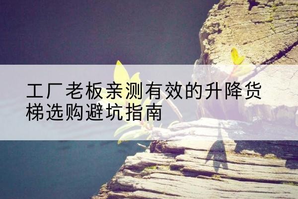 连云升降货梯怎么选-工厂老板亲测有效的升降货梯选购避坑指南