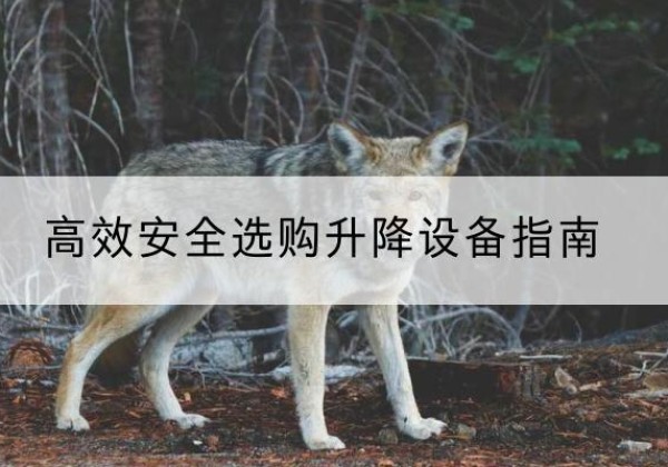连云升降货梯厂家推荐-*安全选购升降设备指南