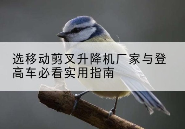 连云电动升降机厂家-选移动剪叉升降机厂家与登高车必看实用指南