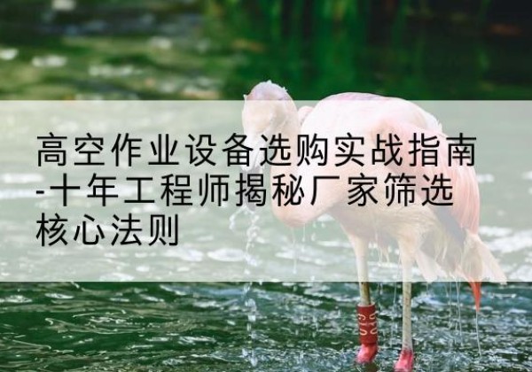 连云剪叉式升降机厂家-高空作业设备选购实战指南-十年工程师揭秘厂家筛选核心法则