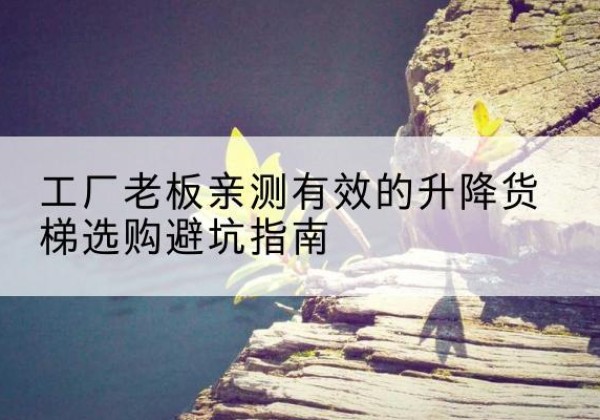 连云升降货梯怎么选-工厂老板亲测有效的升降货梯选购避坑指南